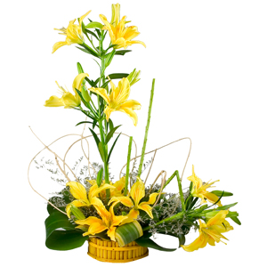 Glorious Half Dozen Stemmed Yellow Lilies in a Splendid Cluster