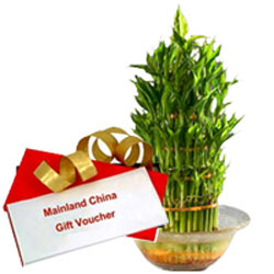 Exclusive Combo of Mainland China Gift E Voucher worth Rs.1000 and Lucky Bamboo Plant in Bowl