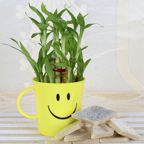 Attractive Smiley Container of Bamboo Plant with Kaju Katli 	