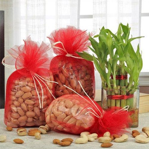 Attractive Lucky Bamboo Plant in a Glass Vase with Assorted Dry Fruits