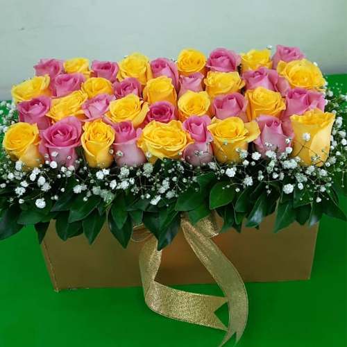 Breathtaking Bed of Multicolored Roses in Box