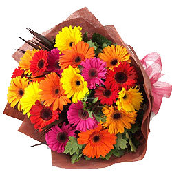 Charming Bunch of Mixed Gerberas