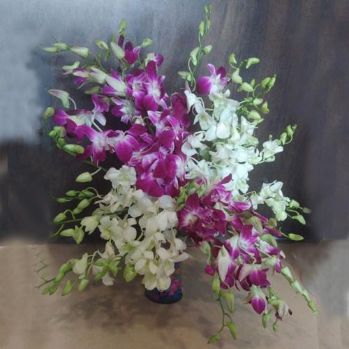 Lovely White N Purple Orchids in Glass Vase