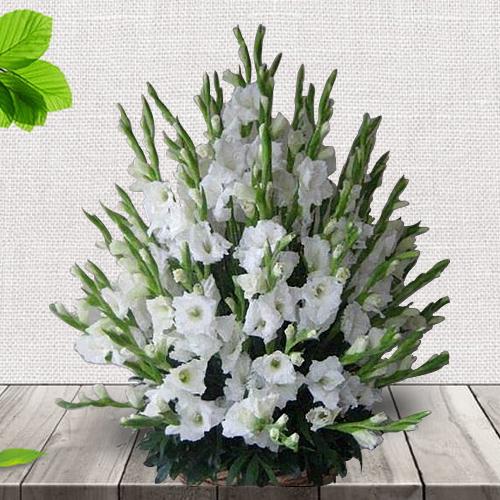 Elegant Basket Full of White Gladiolus