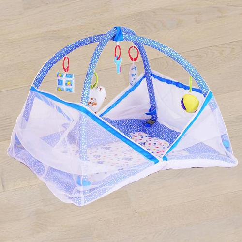 Exclusive Kick and Play Gym with Mosquito Net N Bedding Set