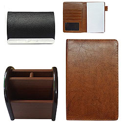 Pen Stand Passport Holder and Visiting Card Holder