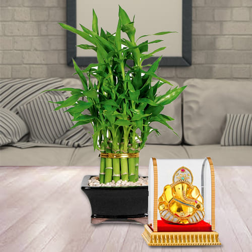 Divine Gift of Vinayak Ganesh Murti with 2 Tier Lucky Bamboo Plant