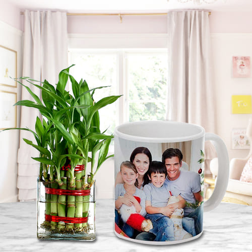 Bright Selection of Two Layer Good Luck Bamboo Tree in Personalized Coffee Mug