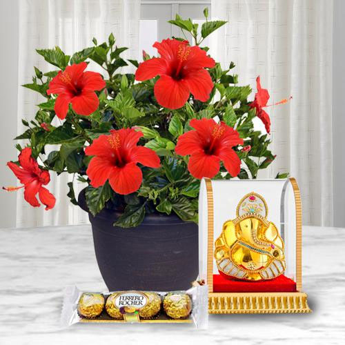 Decorative Hibiscus Plant with Ganesh Idol N Chocolate