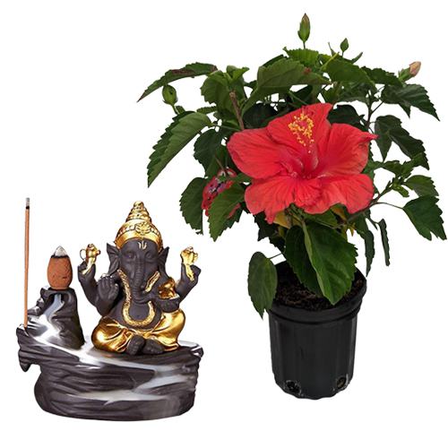 Wishing Good Day Combo of Hibiscus Plant n Bal Ganesha Idol