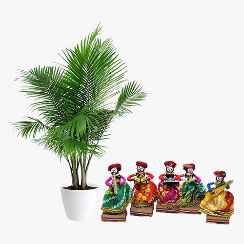 Eye-Catching Pair of Areca Palm Plant N Rajasthani Musician Bawla Puppets