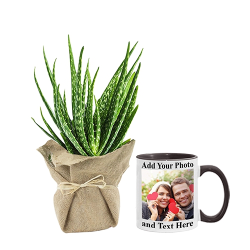 Marvelous Pair of Jute Wrapped Aloe Vera Plant N Personalize Coffee Mug