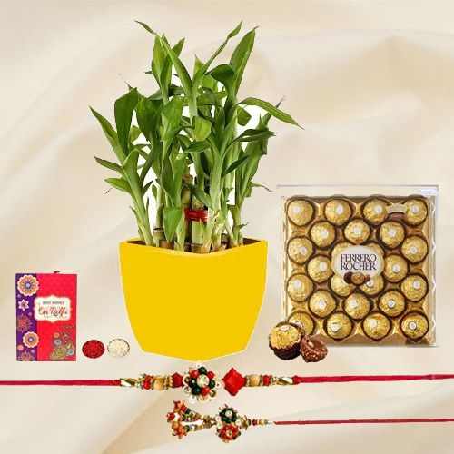 Fresh 2 Tier Bamboo Plant N Lumba Rakhi