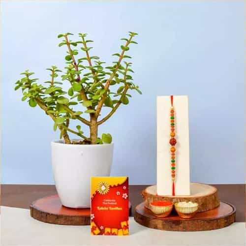 Auspicious OM Rakhi